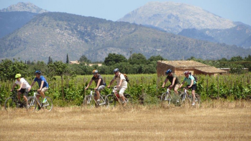 Visite privée de vignes&bodegas à vélo entre Consell et Santa María del Camí, avec déjeuner dans une belle finca