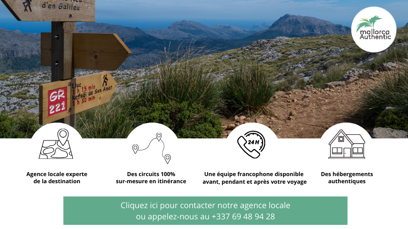 Contactez nous pour un voyage sur mesure