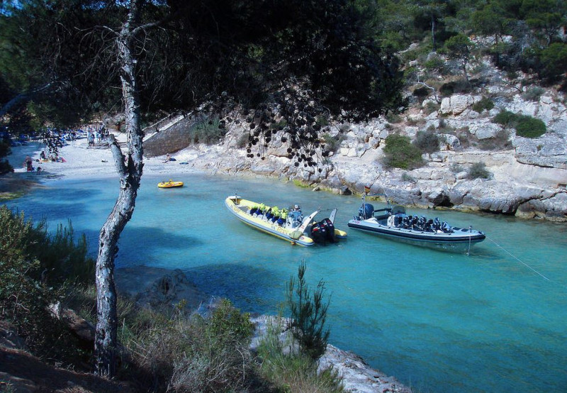 Promenade en bateau rapide et snorkeling