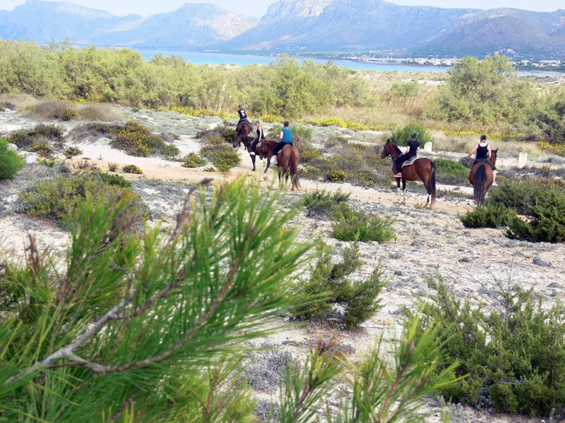 Balade à cheval vers la plage de Son Serra de Marina