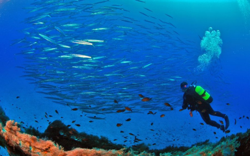 Plongée à Majorque : tous les meilleurs centres de plongée à Majorque dans les îles Baléares