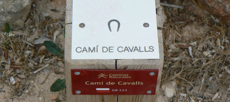 Le Cami de Cavalls ou GR 223, un chemin incontournable pour découvrir Minorque !