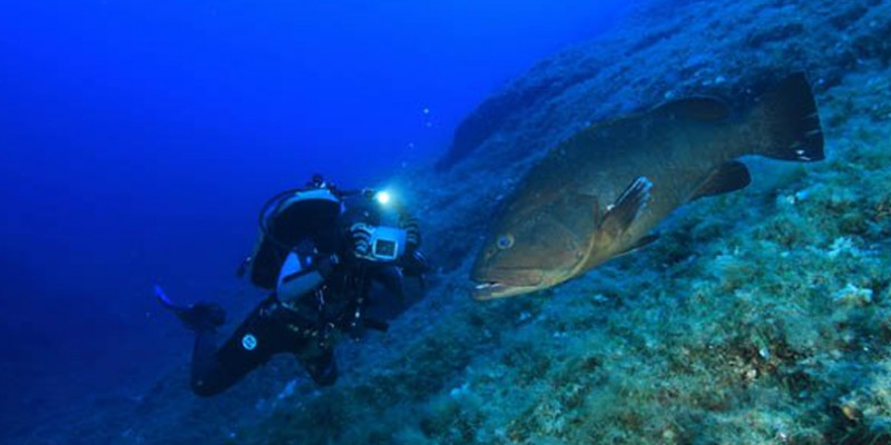 Plongée à Minorque : tous les meilleurs centres de plongée à Minorque dans les îles Baléares