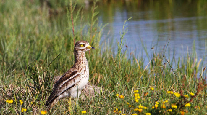 À la découverte des Parcs naturels de Majorque !