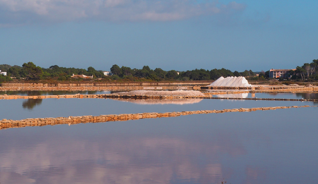 Salines Colonia