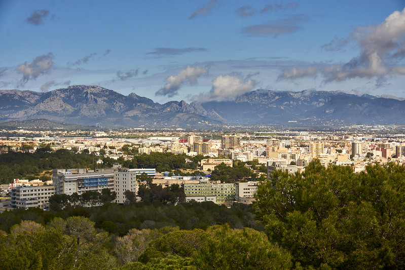 Palma