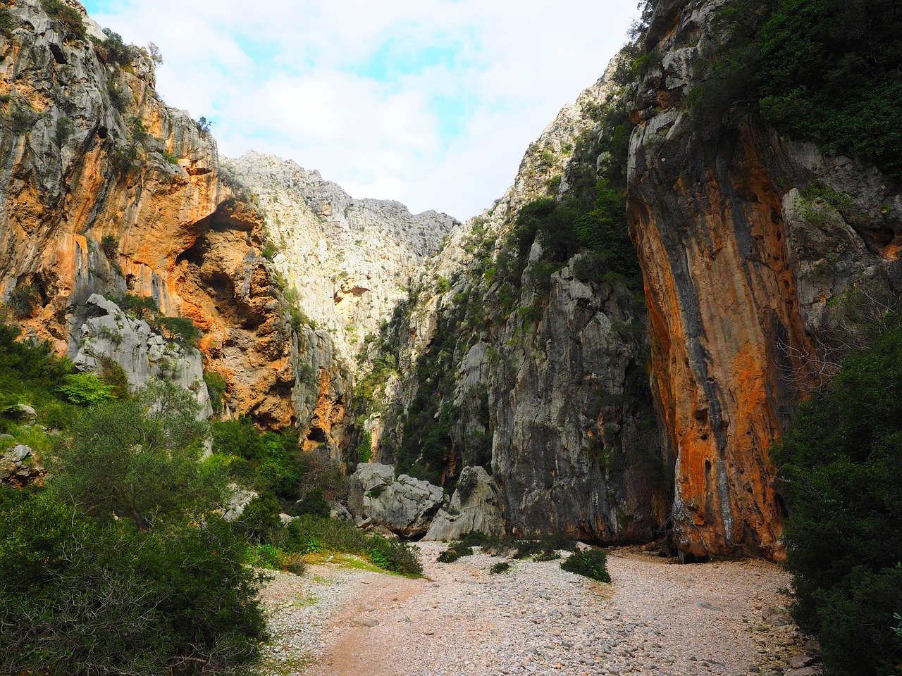 torrent pareis 1090524 1280