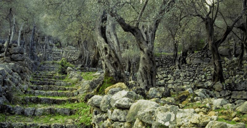 rando trek baleares minorque majorque 7