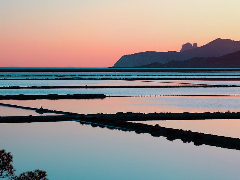 Découvrir les joyaux naturels d'Ibiza, dont le Parc naturel de Ses Salines