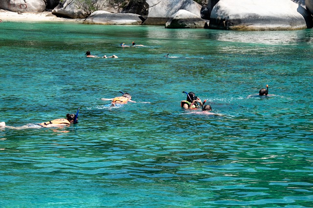 snorkeling ge57e8d9b6 640