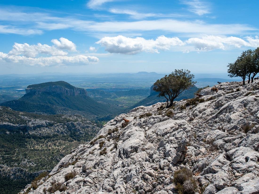 Randonnée à Majorque : traversée de la Serra de Tramuntana